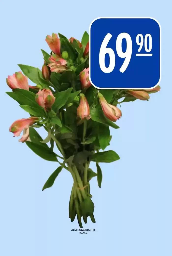 Spesialtilbud for deg fra 16. februar til 22. februar 2025 - kundeavisside 27