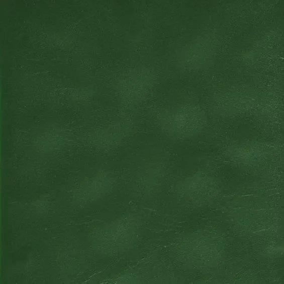 Pigmentfarge 4 g Grønn