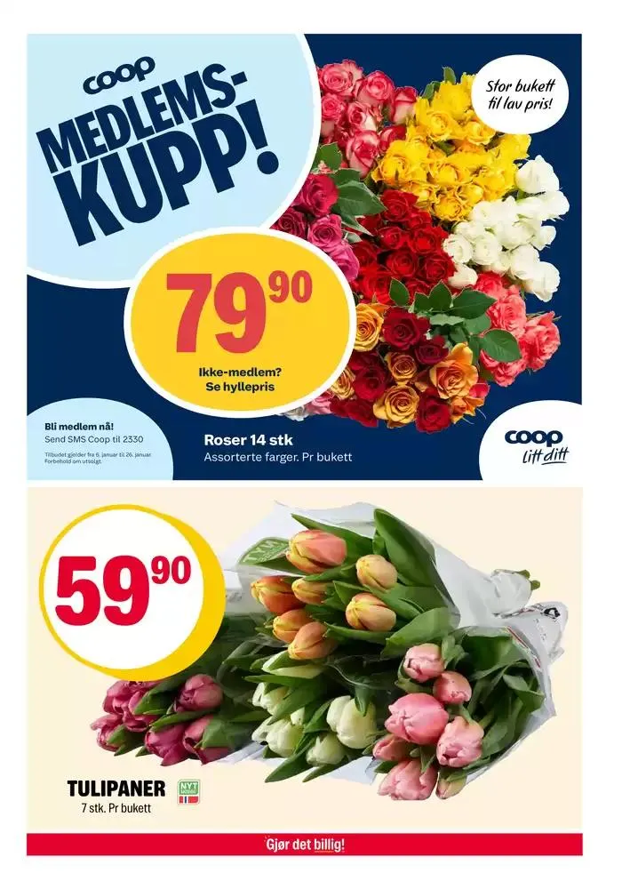Coop Extra Kundeavis fra 6. januar til 12. januar 2025 - kundeavisside 13