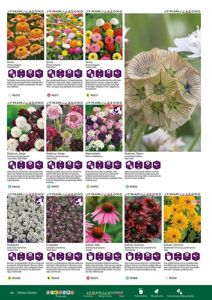 Forkatalog 2024 fra 1. januar til 31. desember 2024 - kundeavisside 46