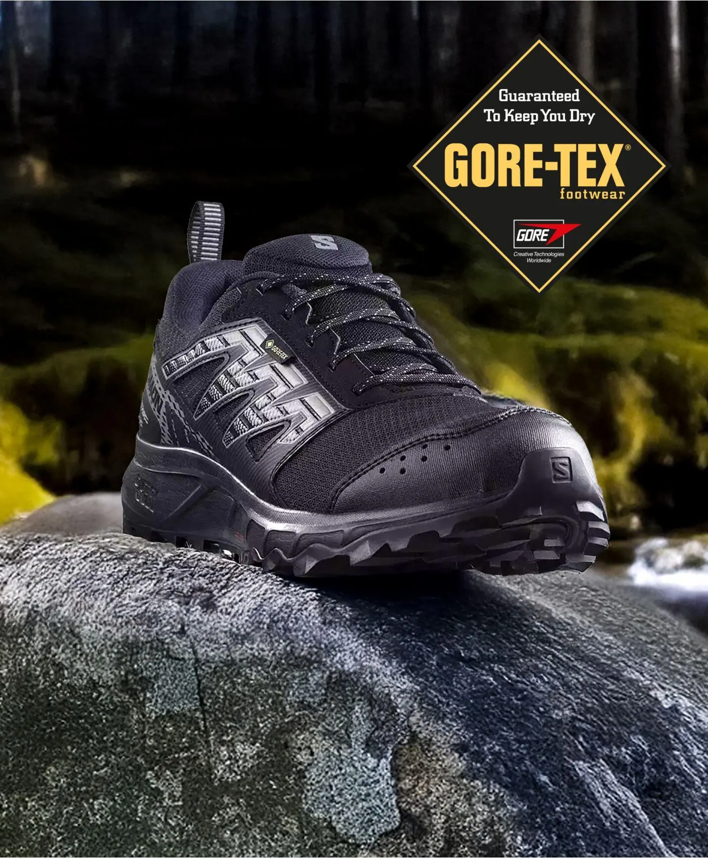 Salomon Wander GTX Shoe Herre