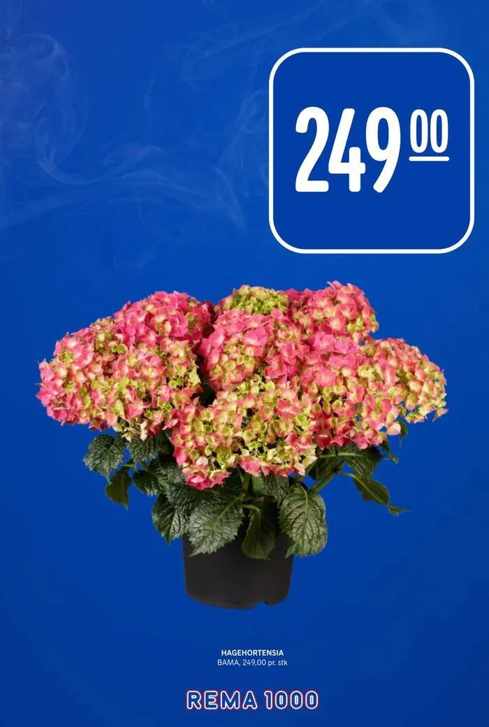 Rema 1000 Kundeavis fra 12. mai til 18. mai 2024 - kundeavisside 16