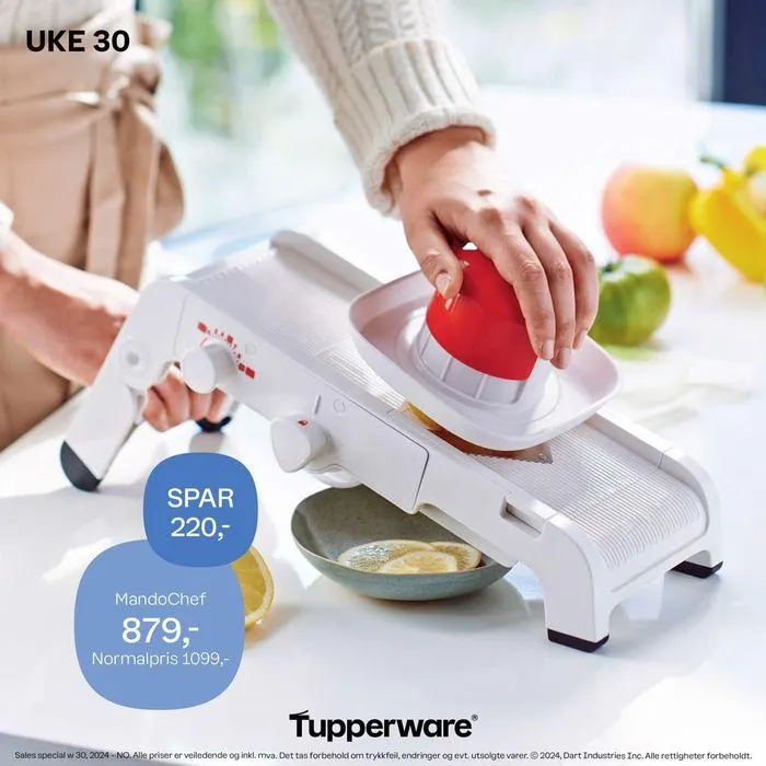 Tupperware Kundeavis - 1