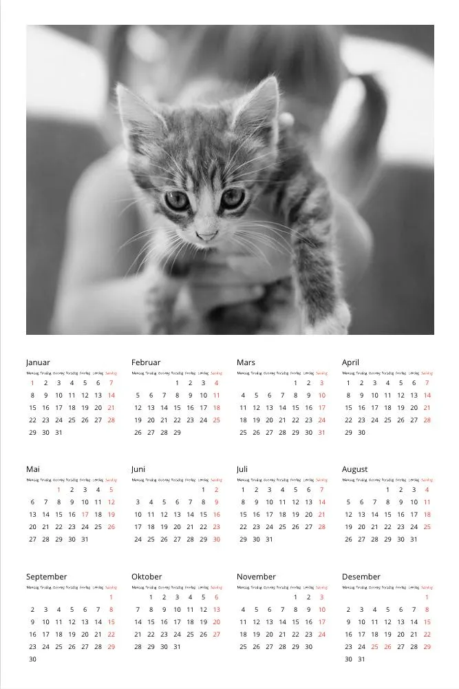 Plakatkalender | Liten (A4) | Enkel hvit