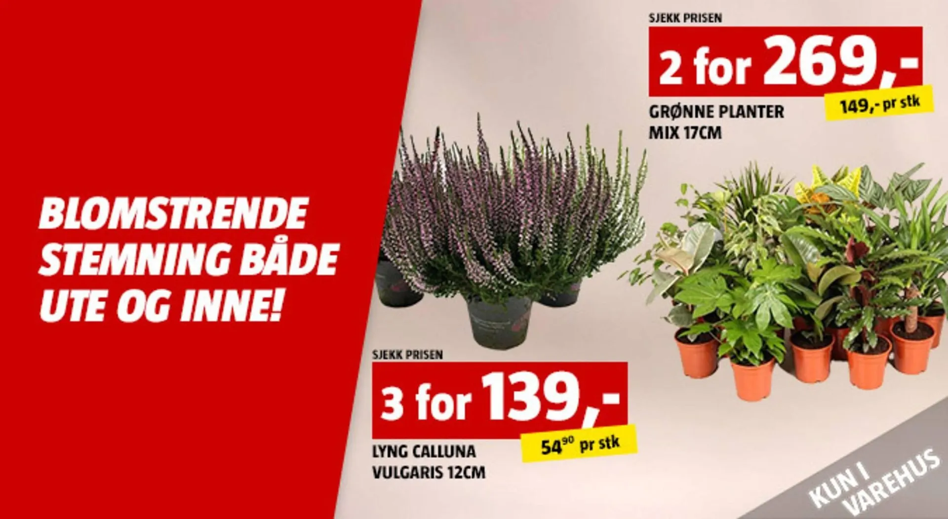 Bauhaus kundeavis fra 23. oktober til 6. november 2025 - kundeavisside 5