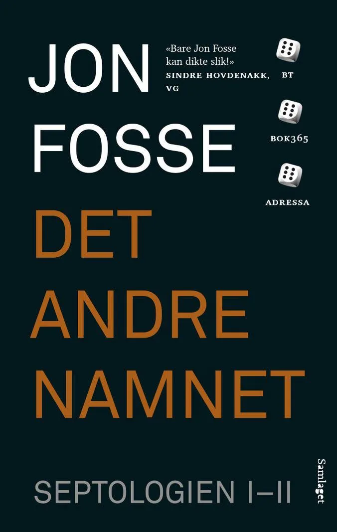 Det andre namnet - roman