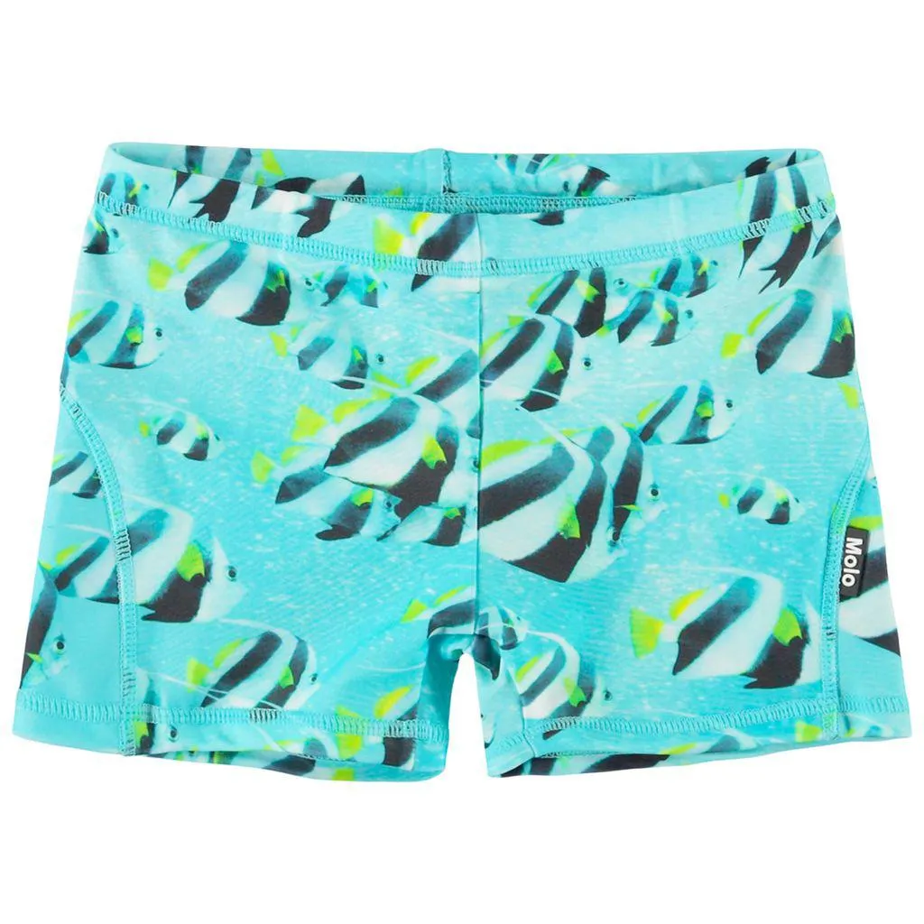 Norton Badebukse Fishing Shoal