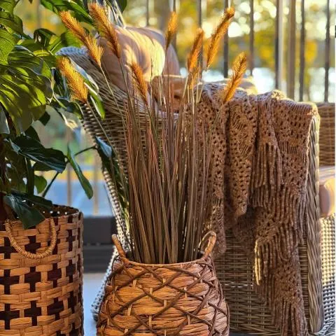 Pampas gress Grønn 90 cm