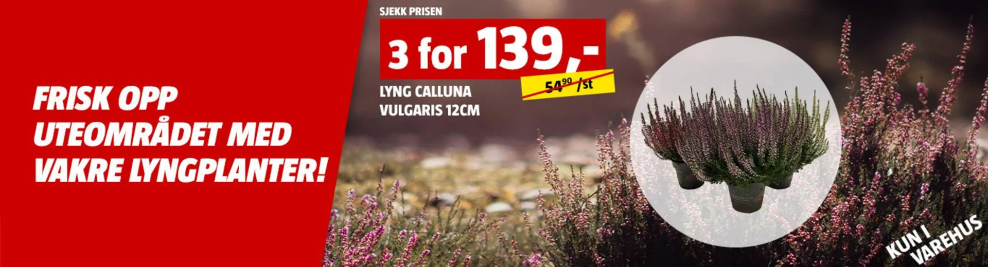 Bauhaus kundeavis fra 2. november til 9. november 2025 - kundeavisside 4