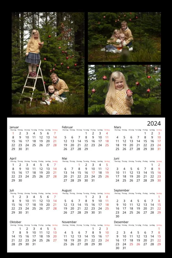 Plakatkalender | Liten (A4) | Klassisk sort