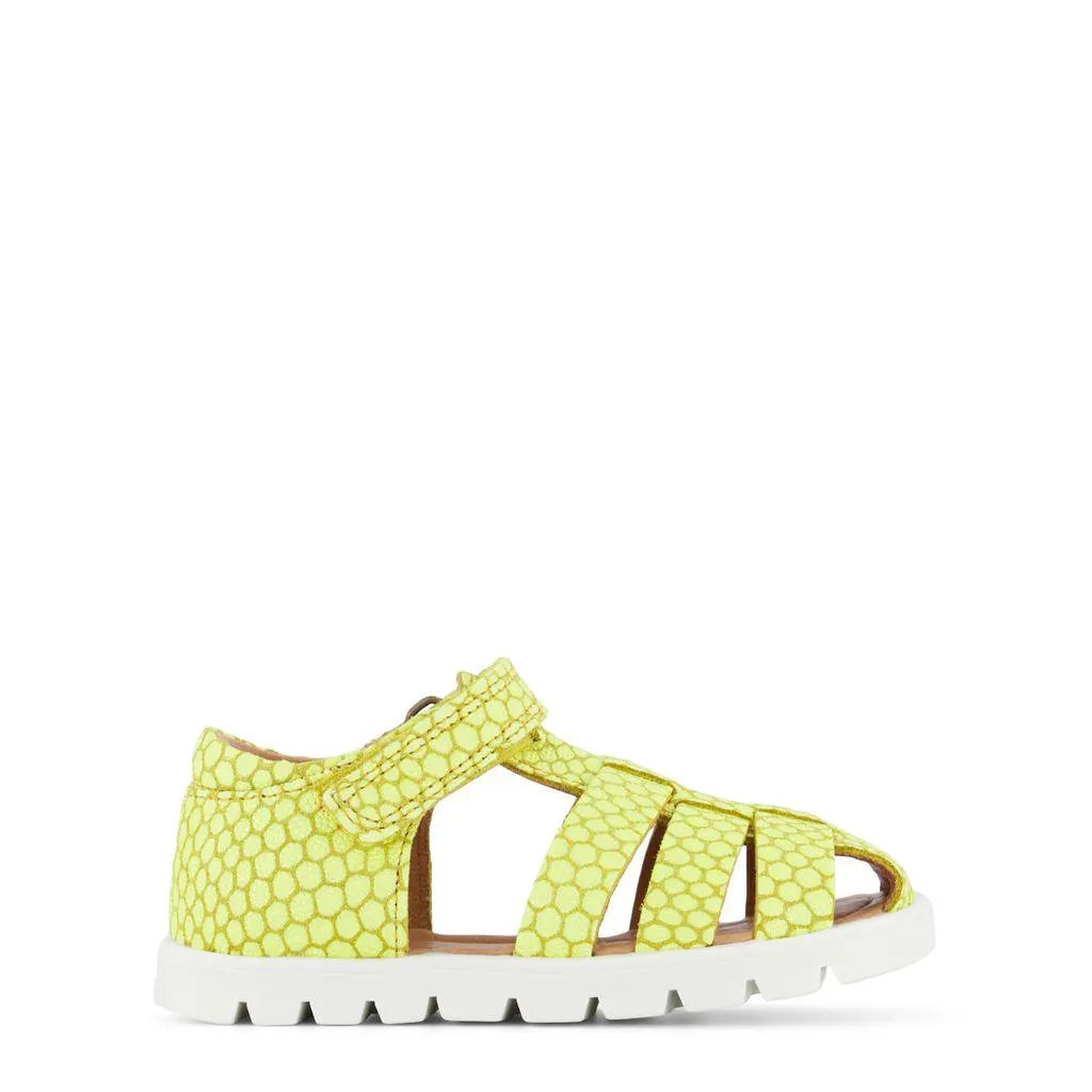Carlo Sandaler Limefargete