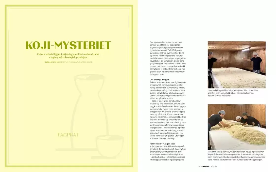 Argang fra 6. mars til 6. april 2025 - kundeavisside 6