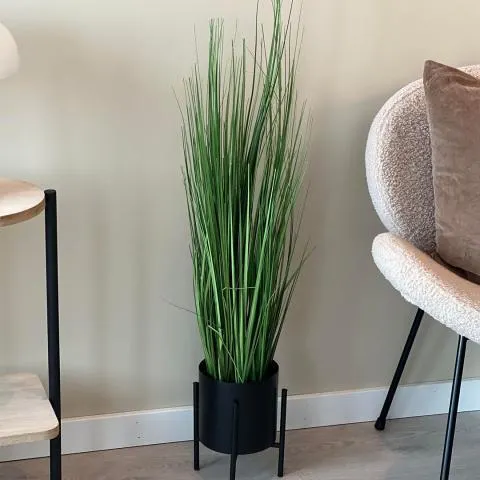 Prydgress Grønn 90 cm