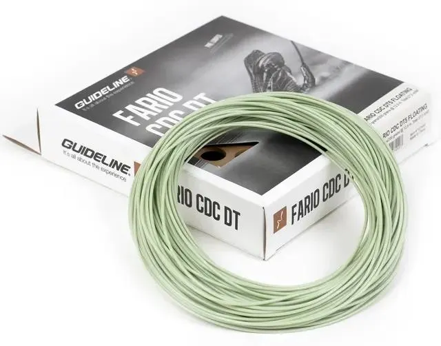 Guideline Fario CDC DT #2