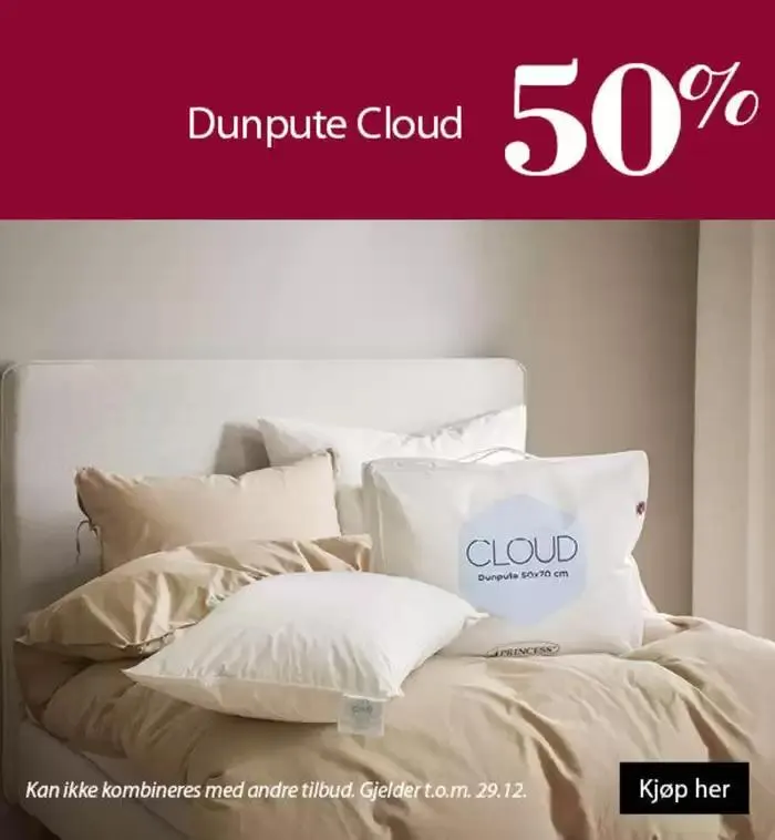 Princess Kundeavis - 5