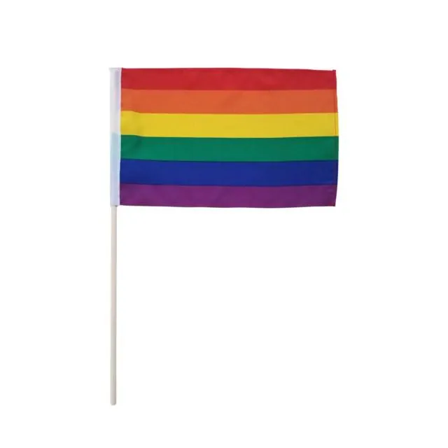Pride håndflagg 20 x 30 cm
