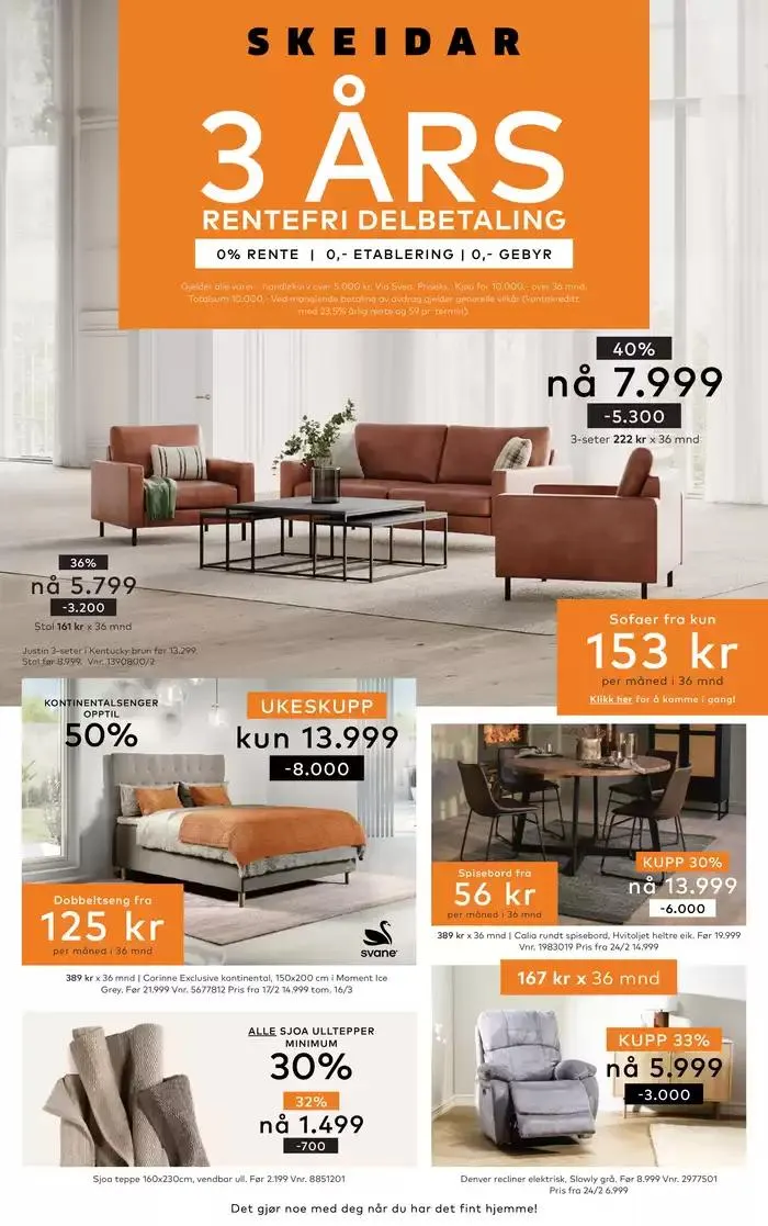 Skeidar Kundeavis - 1