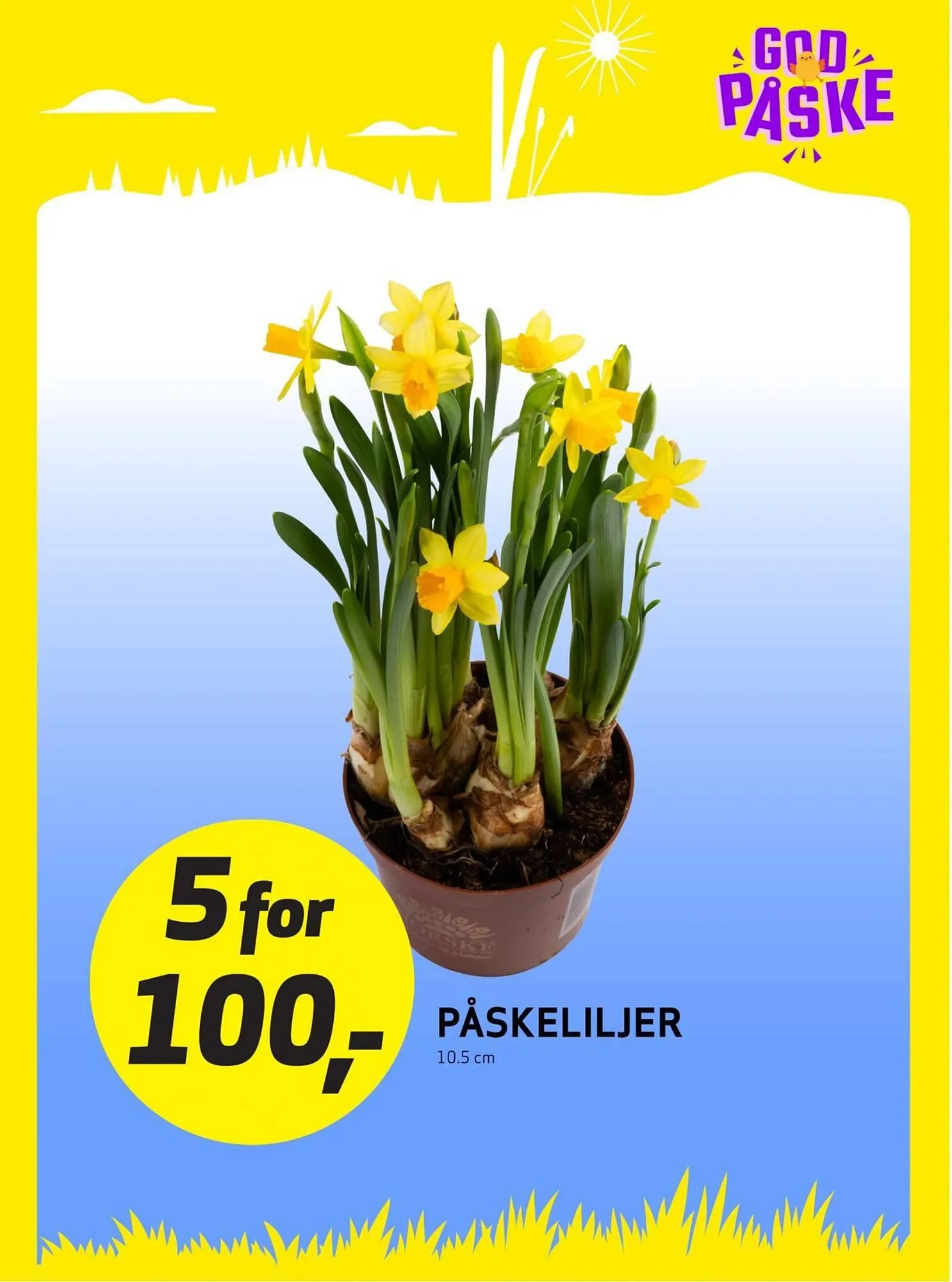 Bunnpris fra 16. mars til 22. mars 2026 - kundeavisside 22