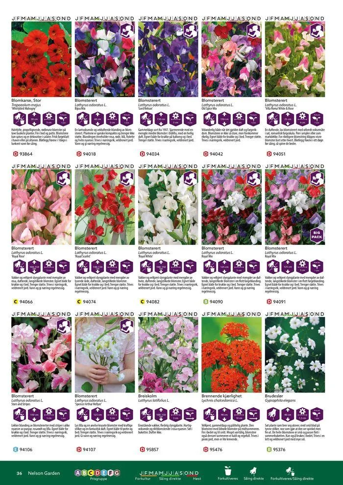 Forkatalog 2024 fra 1. januar til 31. desember 2024 - kundeavisside 36