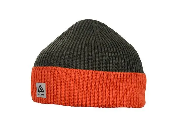 Explorer beanie
