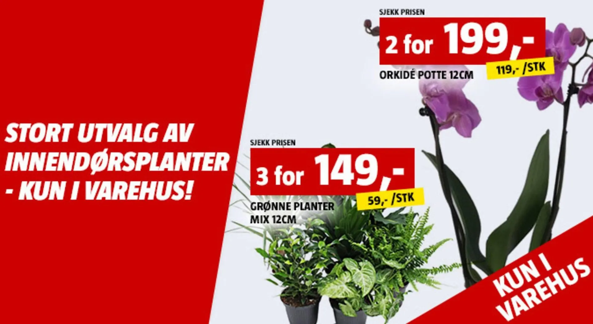 Bauhaus kundeavis fra 9. januar til 15. januar 2026 - kundeavisside 4