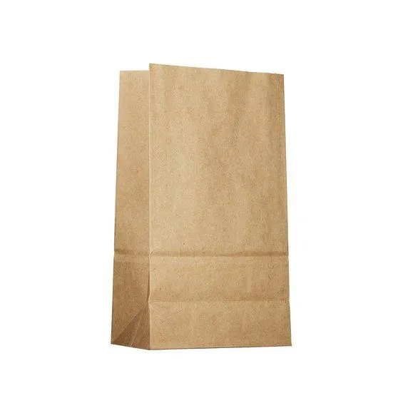 Poser av papir Natur 80g 24stk