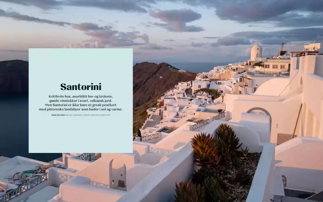 Vinbladet fra 18. november til 2. desember 2024 - kundeavisside 15