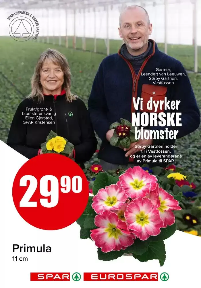 Spar Kundeavis fra 23. januar til 6. februar 2025 - kundeavisside 12