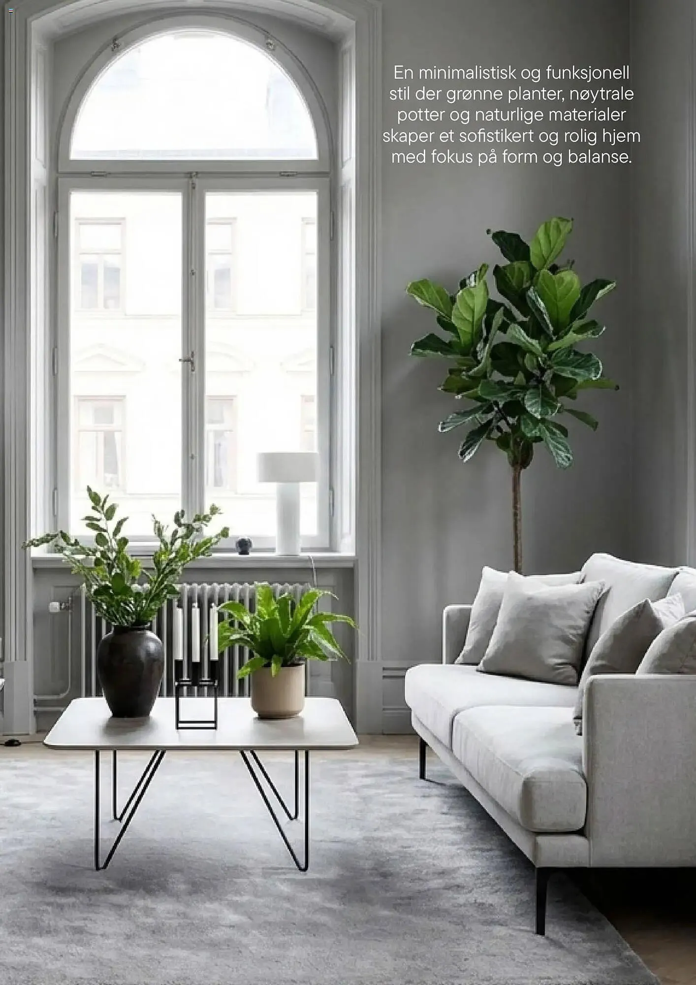 Plantasjen kundeavis fra 8. januar til 3. april 2026 - kundeavisside 11