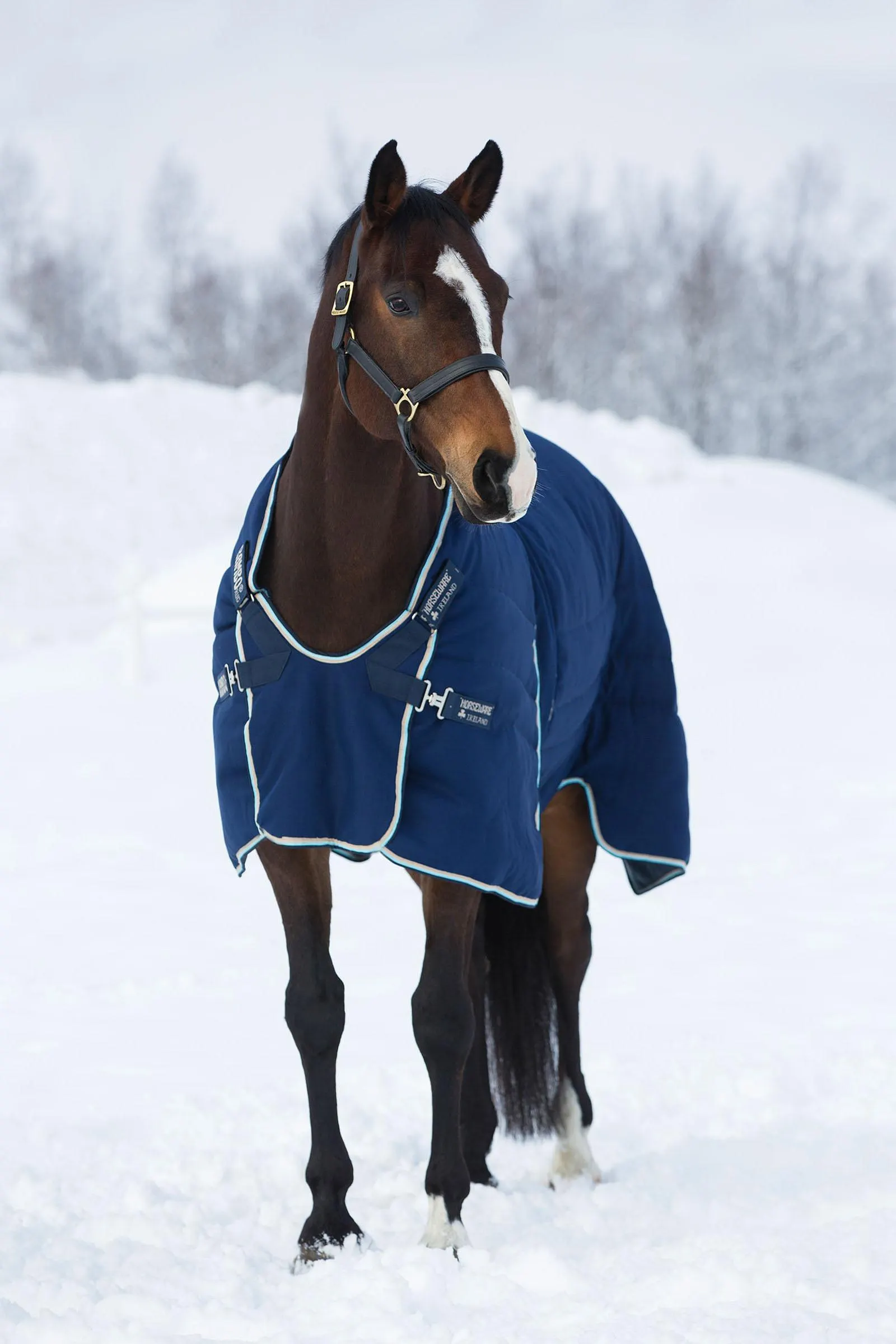 Horseware Rambo Optimo stalldekken 400 g