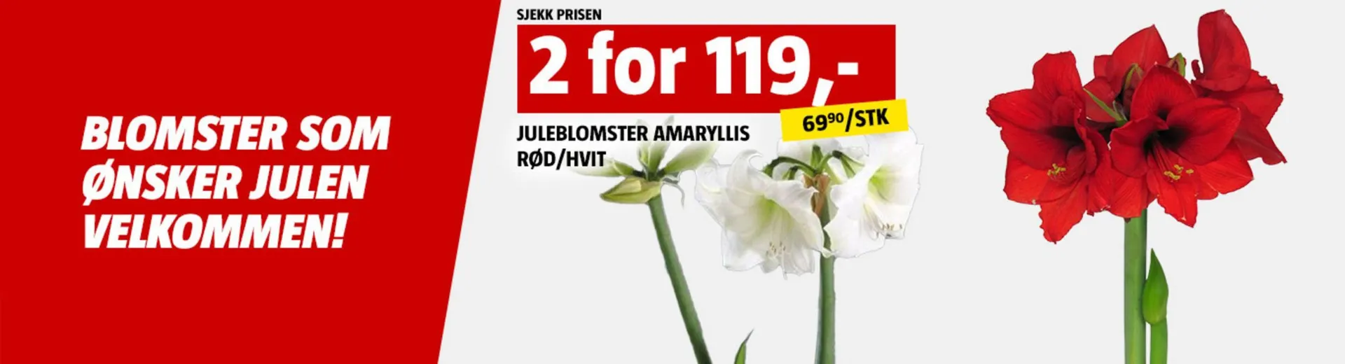 Bauhaus kundeavis fra 21. desember til 25. desember 2025 - kundeavisside 3