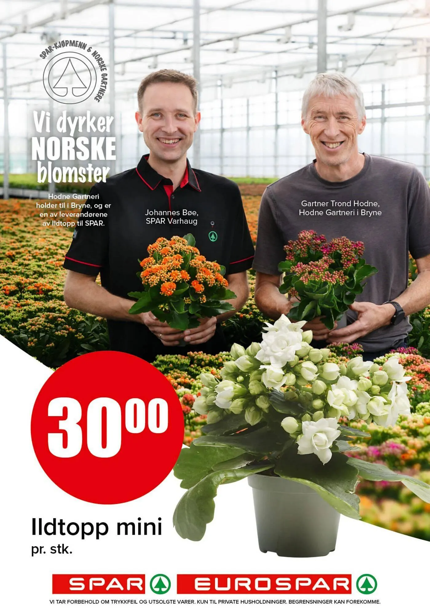 Spar kundeavis fra 15. januar til 18. januar 2026 - kundeavisside 21