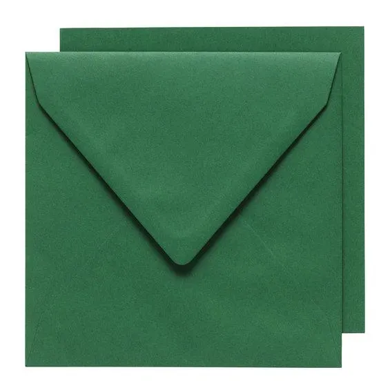 Kortkit Basic 14cm grønn 10p