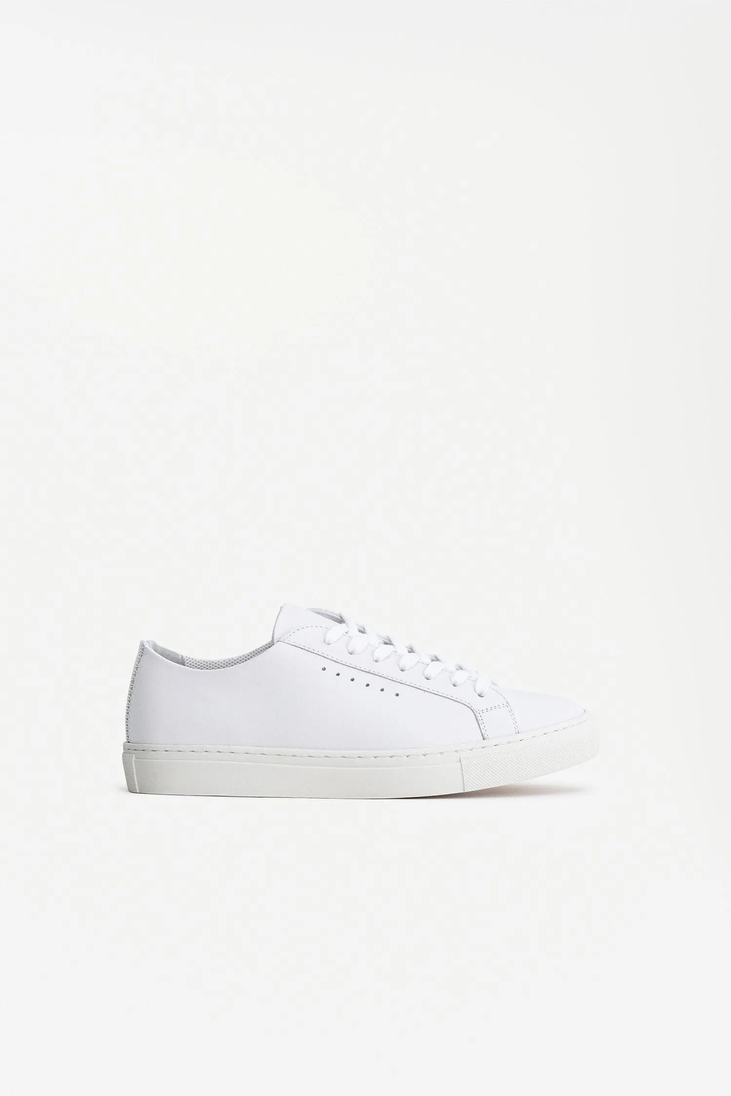 Kate Low Sneakers