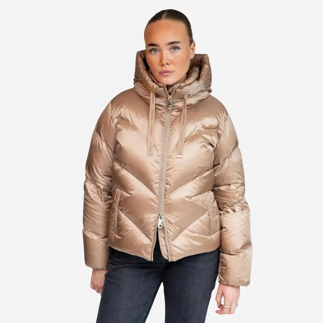 Emily - Crisp Champagne