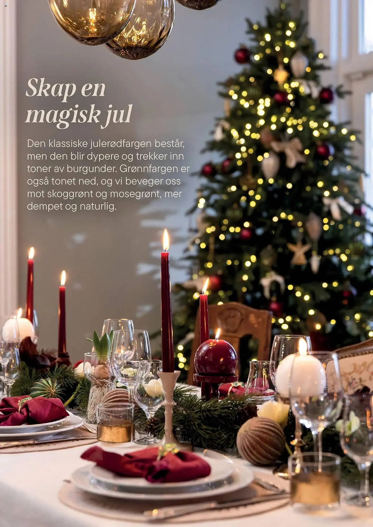 Plantasjen kundeavis fra 2. desember til 9. januar 2026 - kundeavisside 14