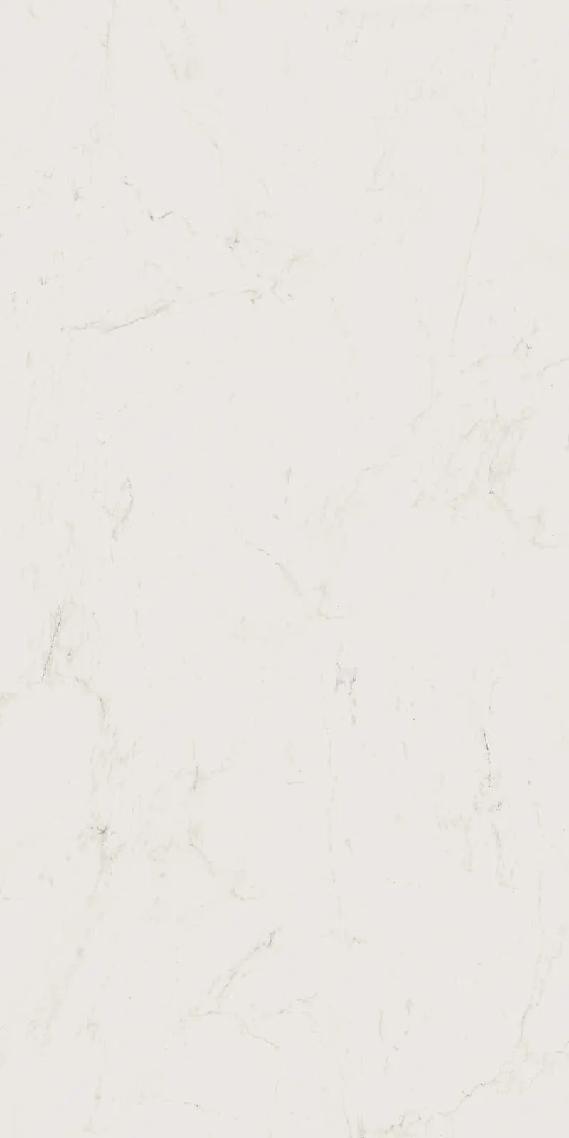 Allmarble Altissimo Grande 120×240 cm