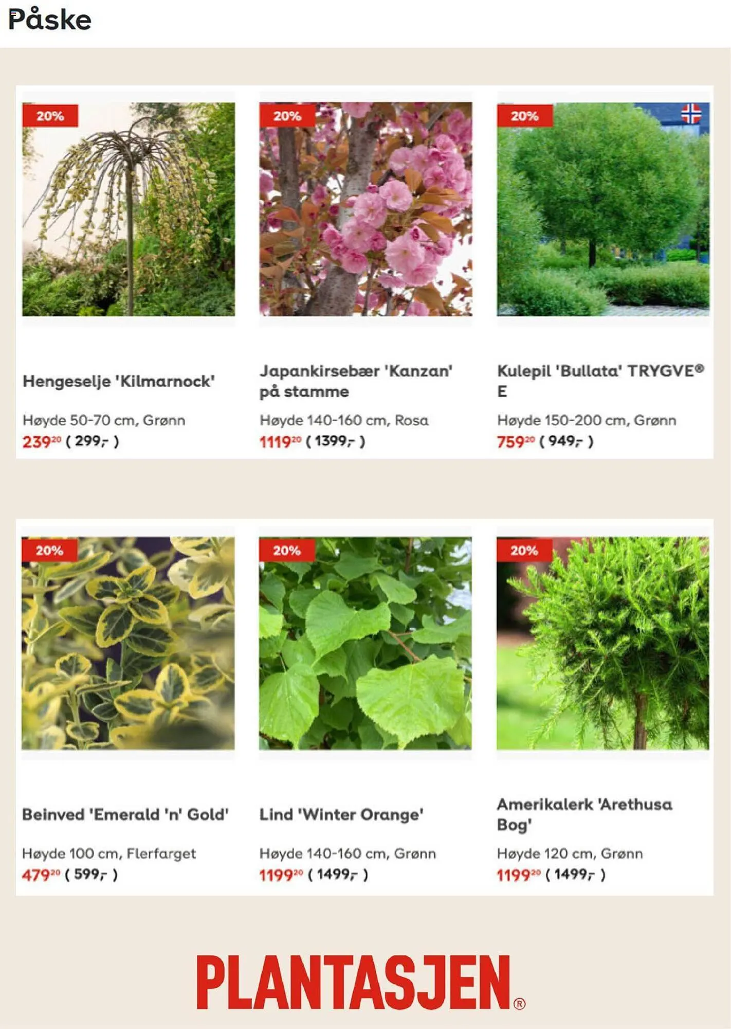 Plantasjen Kundeavis fra 6. september til 26. september 2023 - kundeavisside 4
