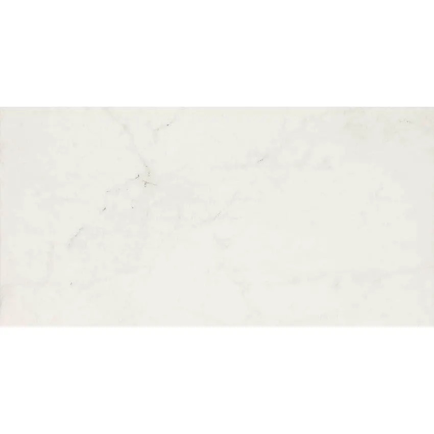 Allmarble Altissimo Ret. 60x120 cm