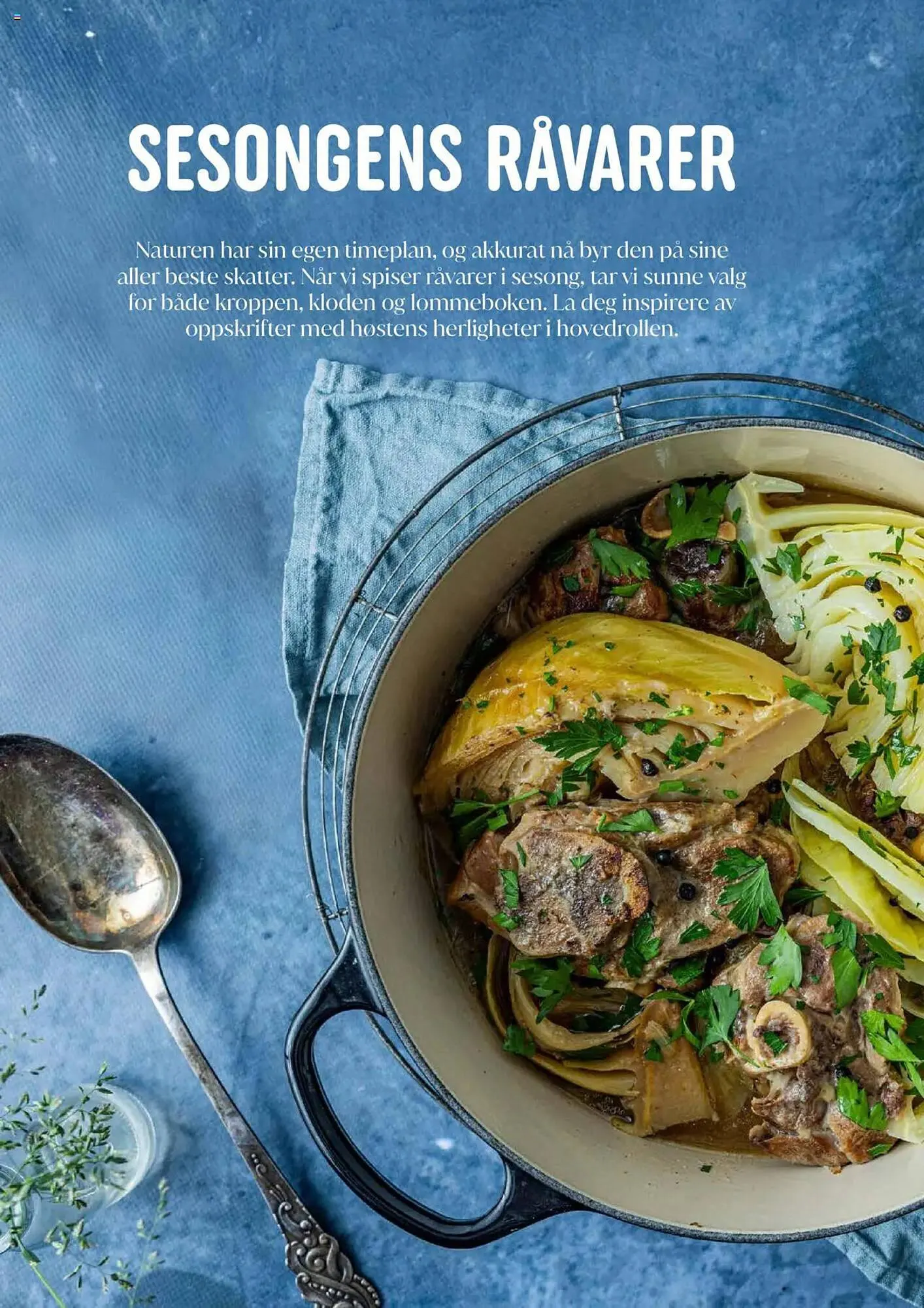 Rema 1000 Kundeavis fra 11. august til 9. januar 2026 - kundeavisside 34