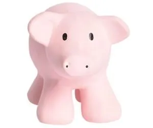 Tikiri Natural Rubber Rattle Pig