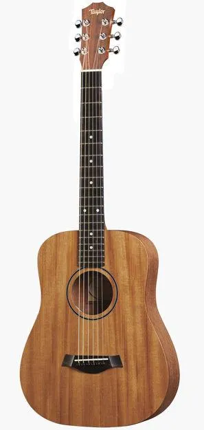 Taylor BT2