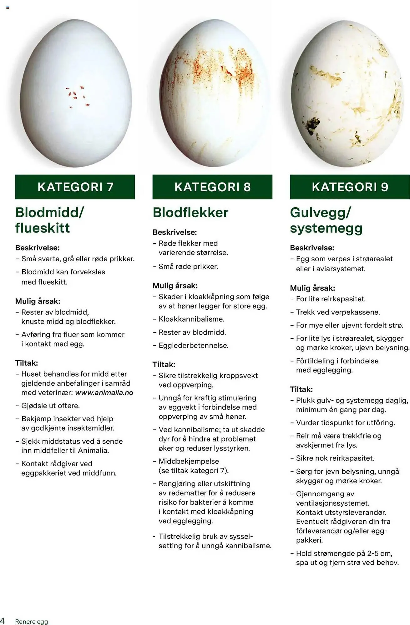 Felleskjøpet Kundeavis fra 21. mai til 31. desember 2025 - kundeavisside 4