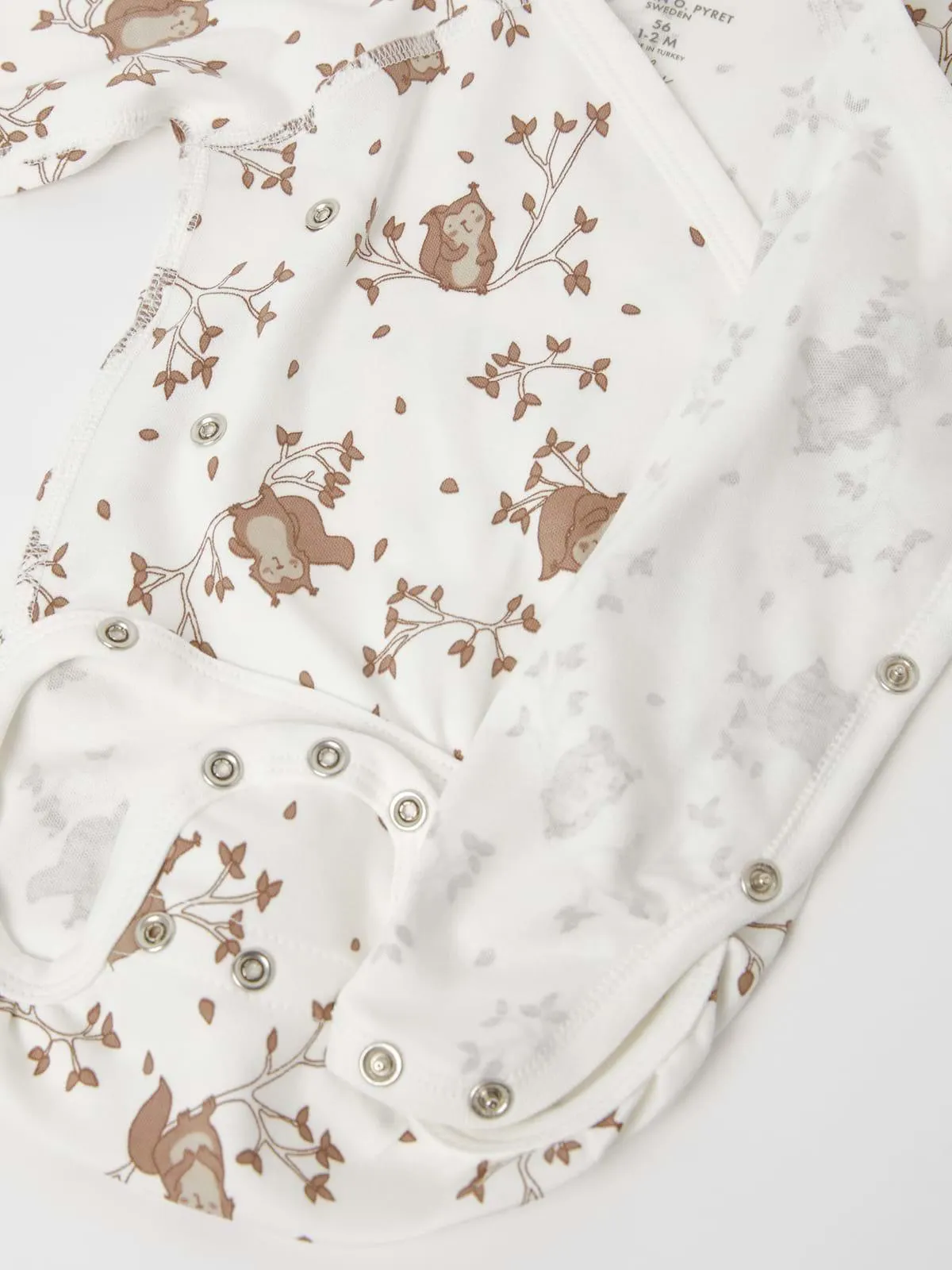 Forlengbar body ekorn