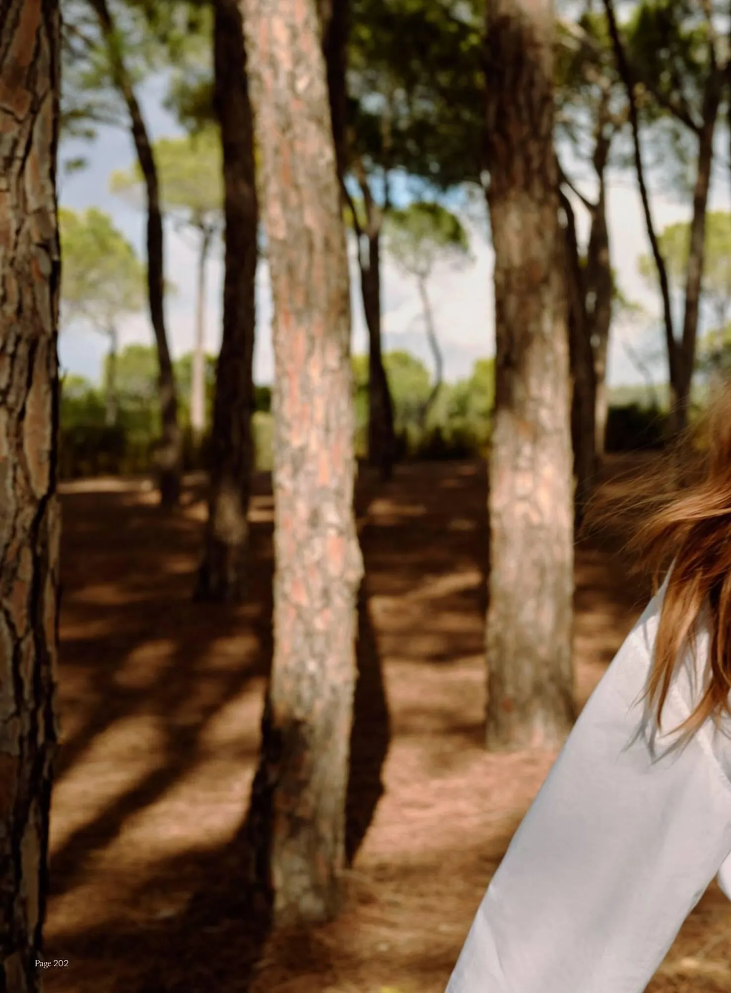 Bolia kundeavis fra 15. september til 31. desember 2025 - kundeavisside 204