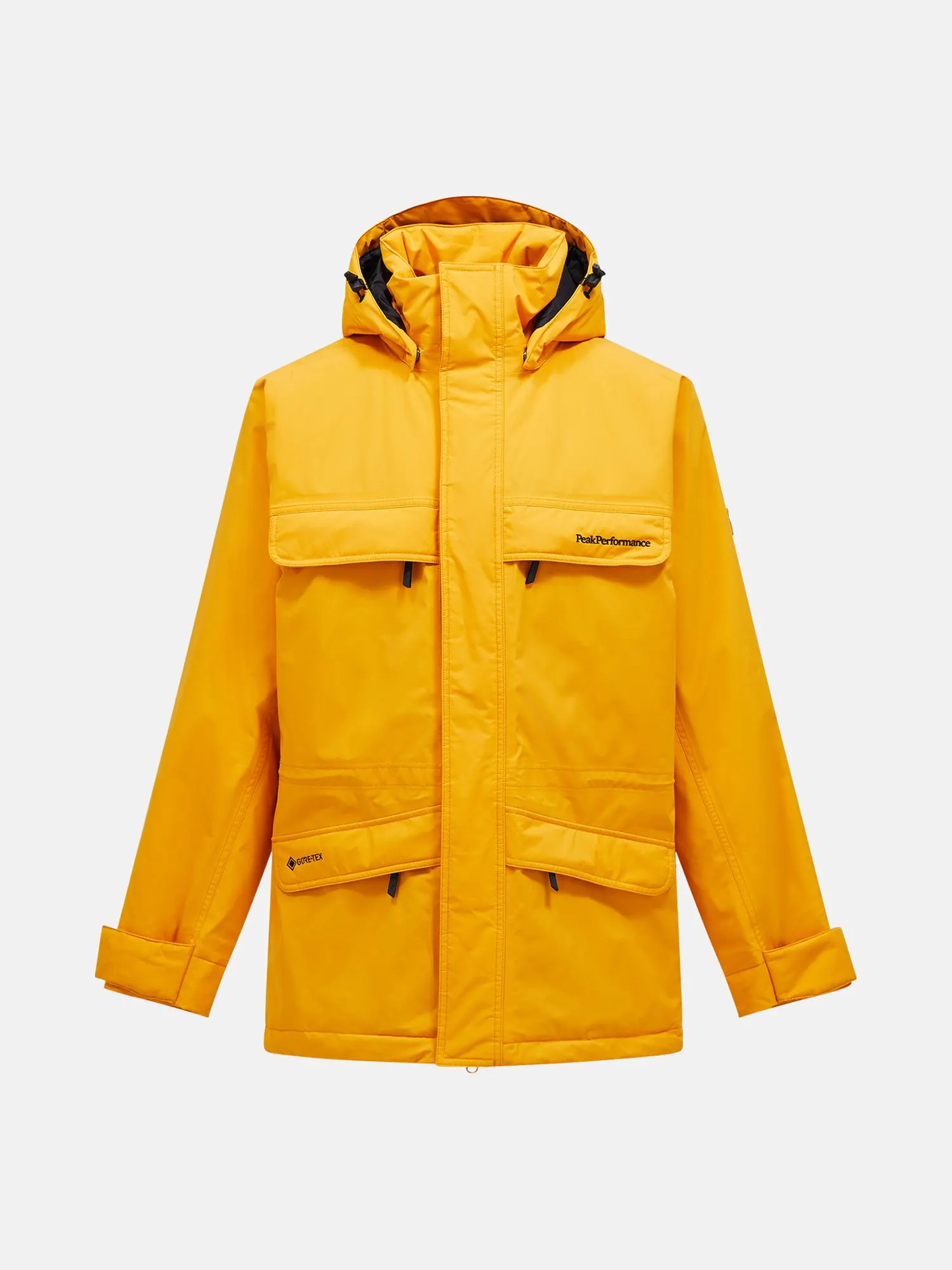 Gore-Tex 2L Parka Men