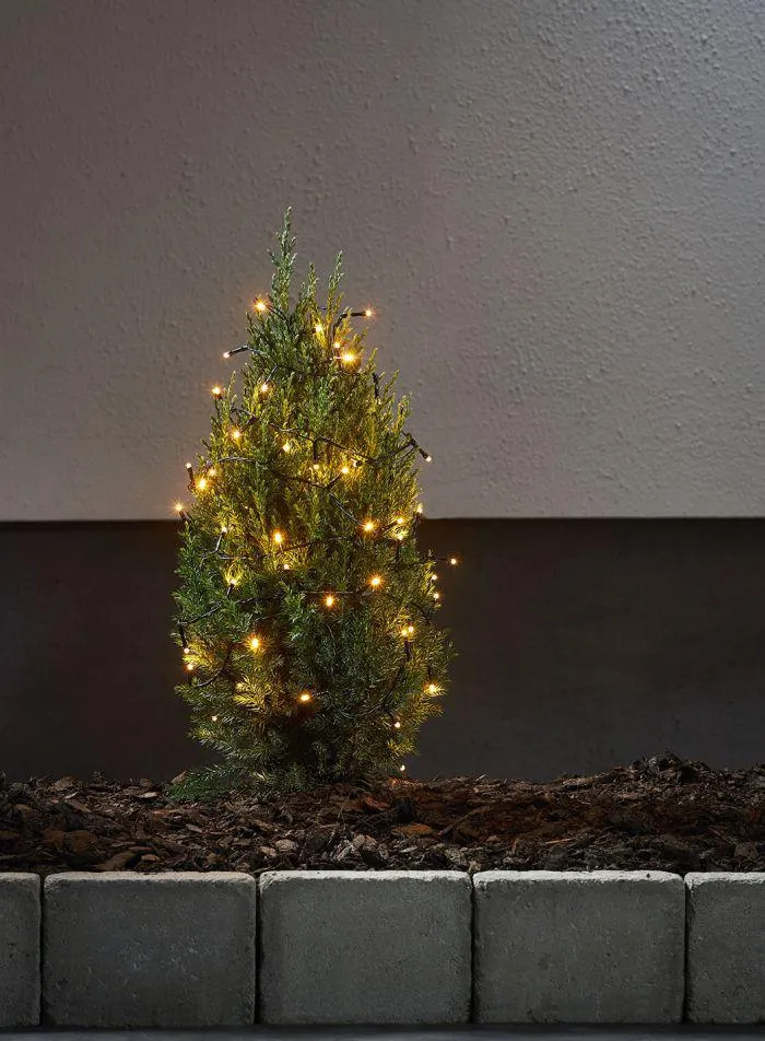 Golden warm lysslynge 3 m