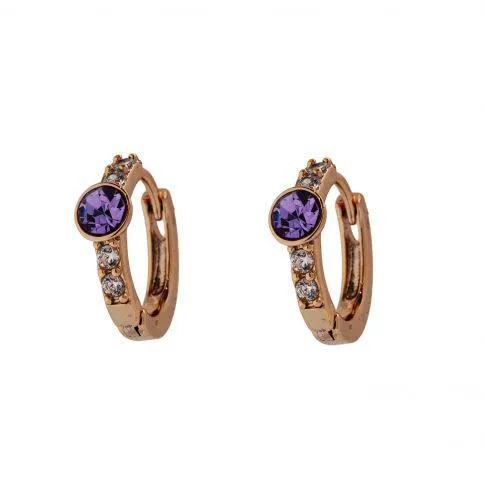Henny ear gold Amethyst
