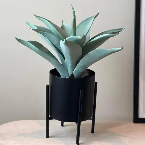 Agava plante Grønn 48cm