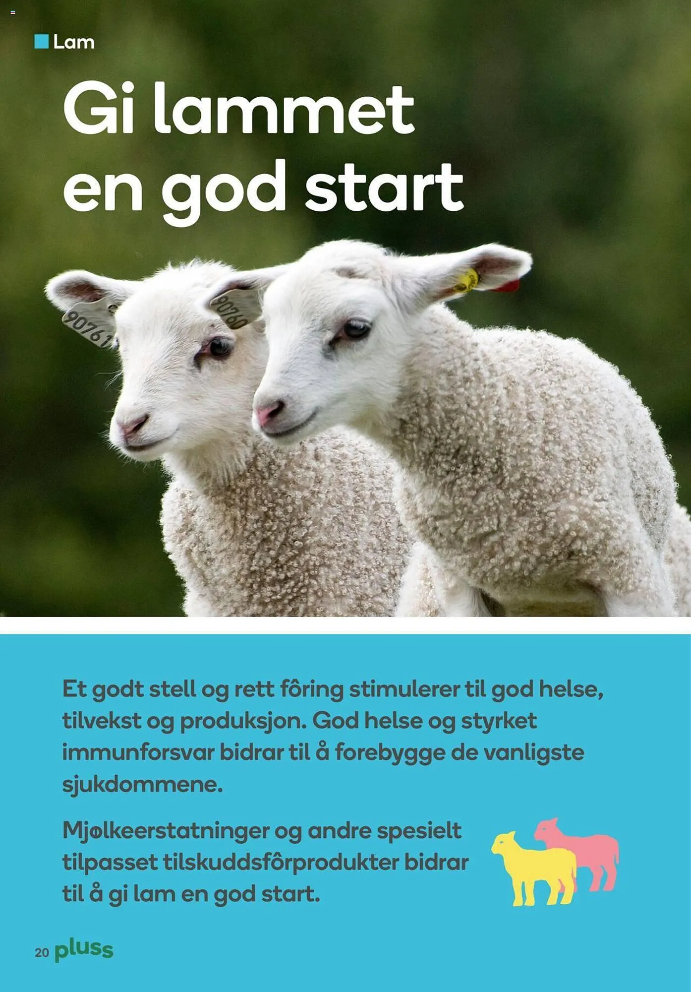 Felleskjøpet Kundeavis fra 30. januar til 30. september 2023 - kundeavisside 20